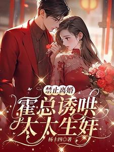 禁止离婚会怎样